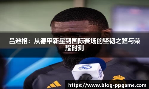 PP模拟器官网