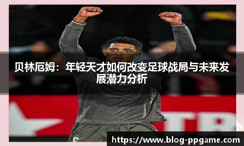 PP模拟器官网