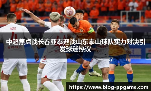 PP模拟器官网