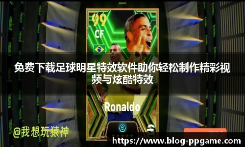 PP模拟器官网