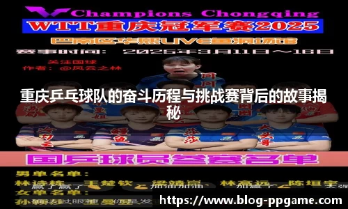 PP模拟器官网